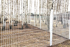 3D-ЗАБОР, СЕТКА СВАРНАЯ И СЕТКА ШАРНИРНАЯ ОТ ПРОИЗВОДИТЕЛЯ ПО САМОЙ ПРИВЛЕКАТЕЛЬНОЙ ЦЕНЕ! 