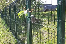 3D-ЗАБОР ОТ ПРОИЗВОДИТЕЛЯ ПО САМОЙ НИЗКОЙ ЦЕНЕ!